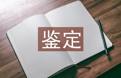 學年鑒定個人總結